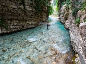 Le premier parc national de rivière sauvage d’Europe enfin créé !