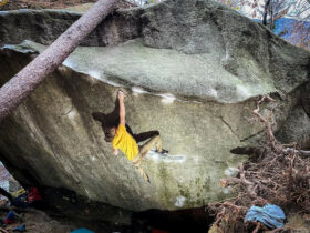 Dreamtime 8C – Une année qui se termine bien pour Alexander Megos !