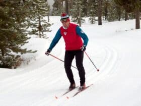 Les 6 meilleurs ski de fond en 2024 / 2025