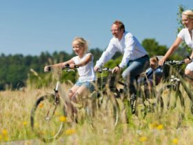 Les 5 Meilleurs Vélos pour Enfant en 2025